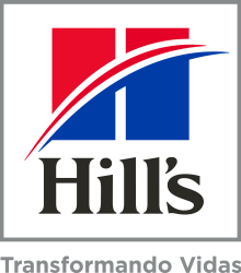 Logo Hills Cinza